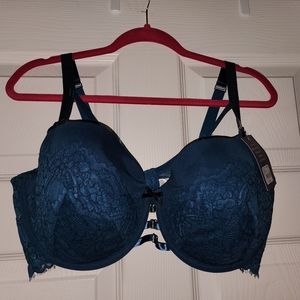 Lane Bryant Blue Bra and Panty Set